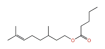 3,7-Dimethyl-6-octenyl pentanoate